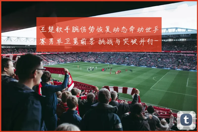 王楚钦手腕伤势恢复动态牵动世乒赛男单卫冕前景 挑战与突破并行