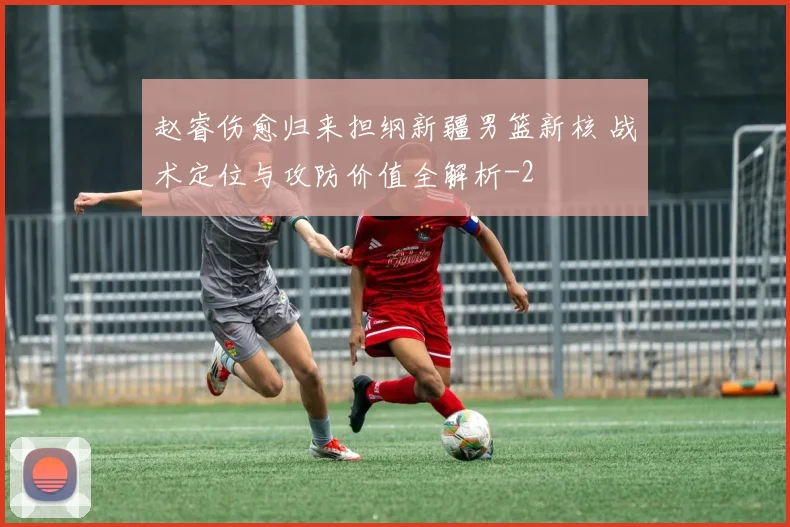 赵睿伤愈归来担纲新疆男篮新核 战术定位与攻防价值全解析