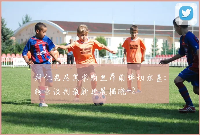 拜仁慕尼黑求购里昂前锋切尔基：转会谈判最新进展揭晓